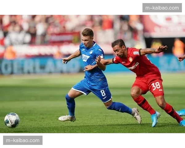霍芬海姆主场迎战弗赖堡，冲欧劲旅与铁血劲旅攻防博弈悬念拉满